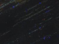 Nile Red Microplastics project thumbnail