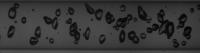 TA BUBBLE project thumbnail