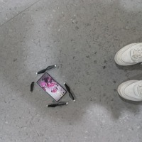 Dataset Image