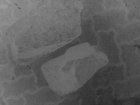 FONDEF_ID_Camera_Termica_YOLO project thumbnail