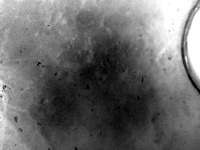 FONDEF_ID_Camera_Termica_SAM project thumbnail