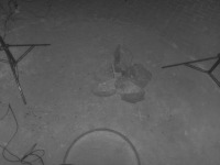 FONDEF_Blaze_Img_Intensity_Object_detect project thumbnail