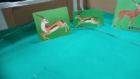 Wild_Life project thumbnail