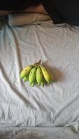banana project thumbnail