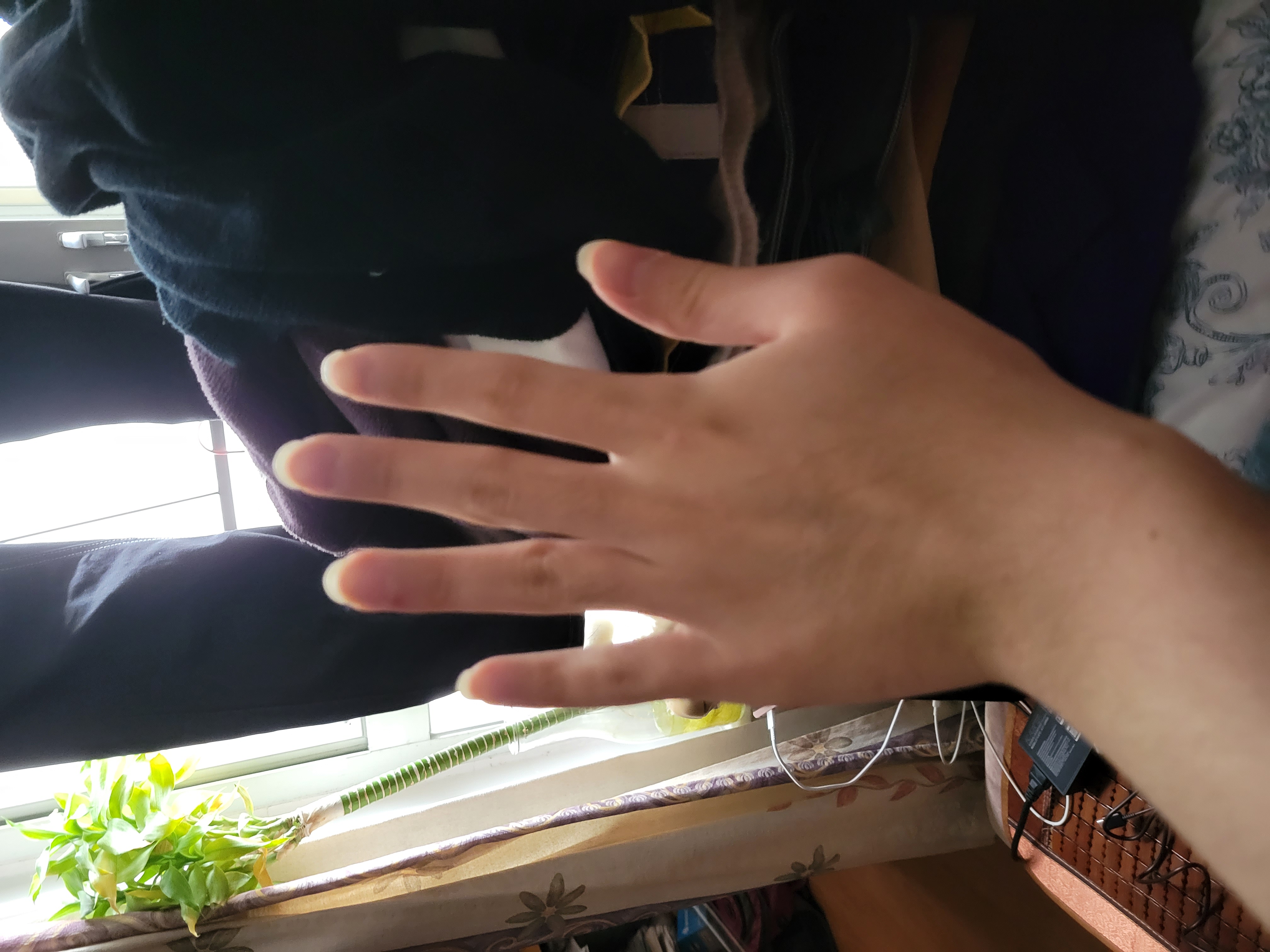 hand Object Detection Dataset by yolov8