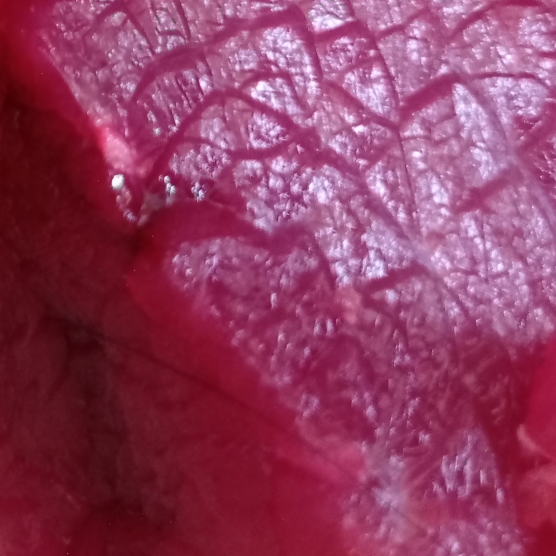 Meat Object meat Object Detection Dataset by ll