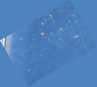 insects project thumbnail