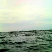 Plastic on water yolov8 project thumbnail