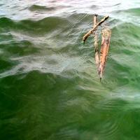 Plastic on water project thumbnail