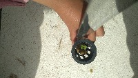 Mustard Detection project thumbnail