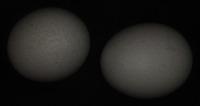 egg project thumbnail