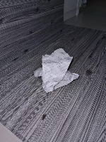 paper project thumbnail