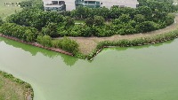 water-hebing project thumbnail