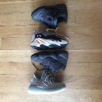 Dataset Image