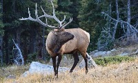 elk_valid project thumbnail