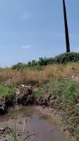 Pematang project thumbnail