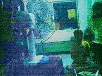 Dataset Image