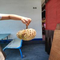 Durian project thumbnail