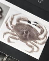 crab model 8 project thumbnail