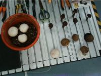 Mushroom2 project thumbnail