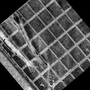 small_number_shrimp Instance Segmentation Dataset by shrimp