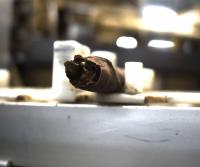 Cigar inspection project thumbnail