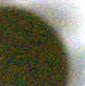 poc-6-17-2026-nas-migrated project thumbnail