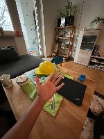 Palm project thumbnail