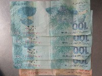 Dataset Image