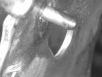 st540_cam11-6gpol project thumbnail