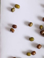 Mung bean classification project thumbnail