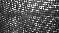 hole-detection project thumbnail