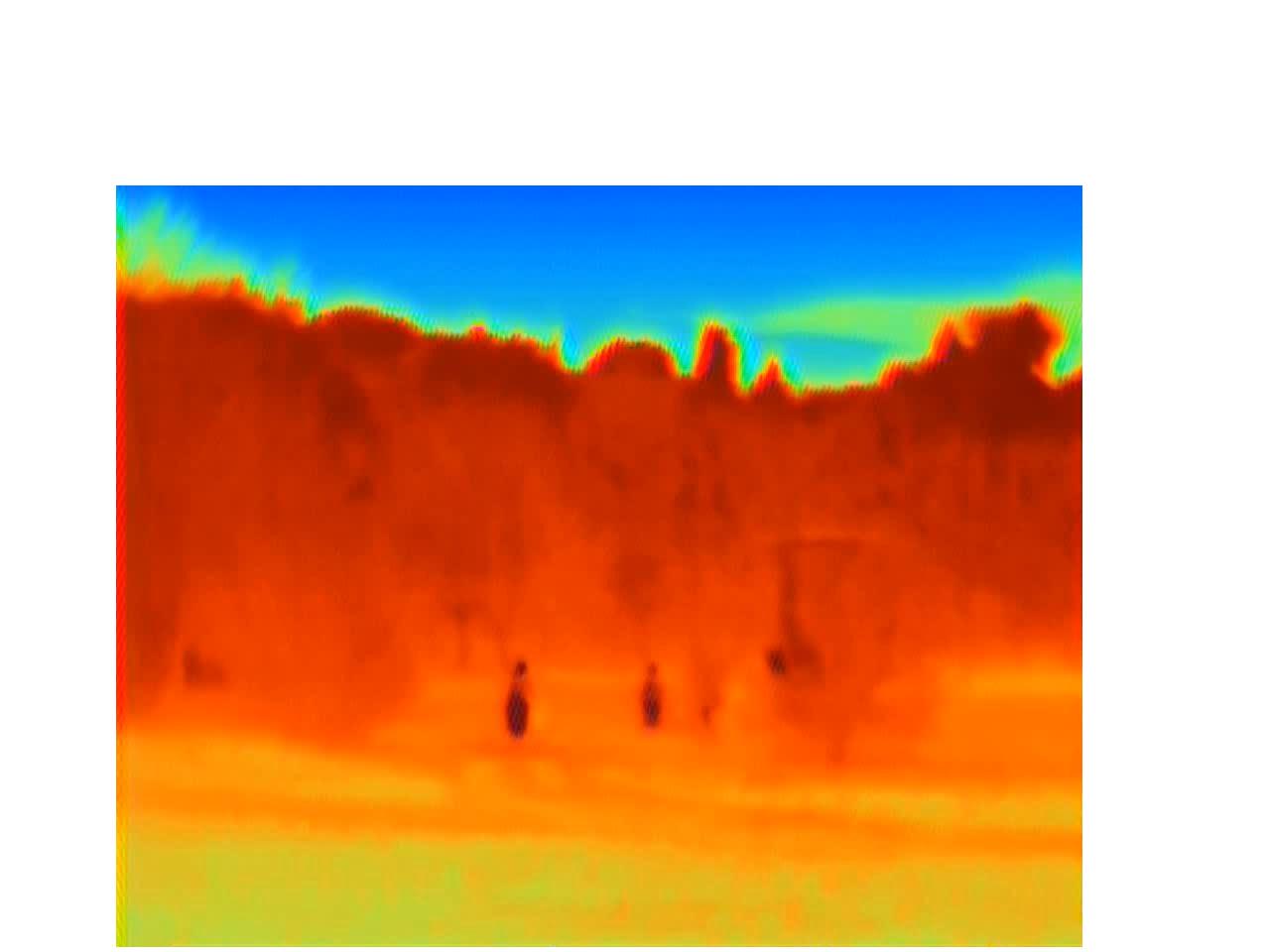 Person Recognition Object Detection Dataset and Pre-Trained Model by FTN