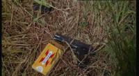 pinhole1024zh project thumbnail