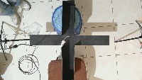 RodentDetection project thumbnail