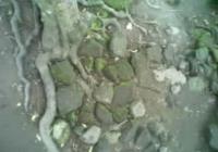 soil images 2 project thumbnail