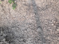 SOIL project thumbnail