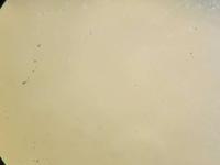Benthose project thumbnail