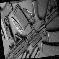Dataset Image