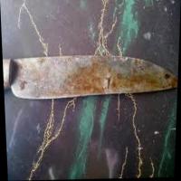 Dataset Image
