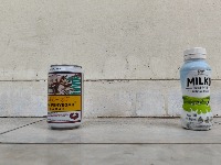 Dataset Image