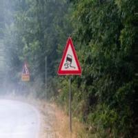 Traffic Signs project thumbnail