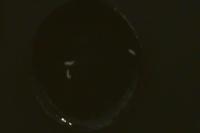 Larval detector project thumbnail