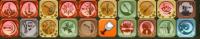 dofus-enemy project thumbnail