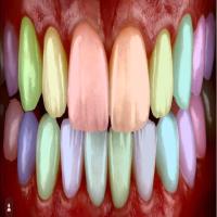Dental-SAM project thumbnail