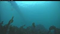 Nordic Fish project thumbnail