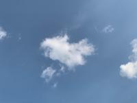 dd project thumbnail