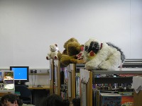 Dataset Image