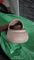 Puthe Project project thumbnail