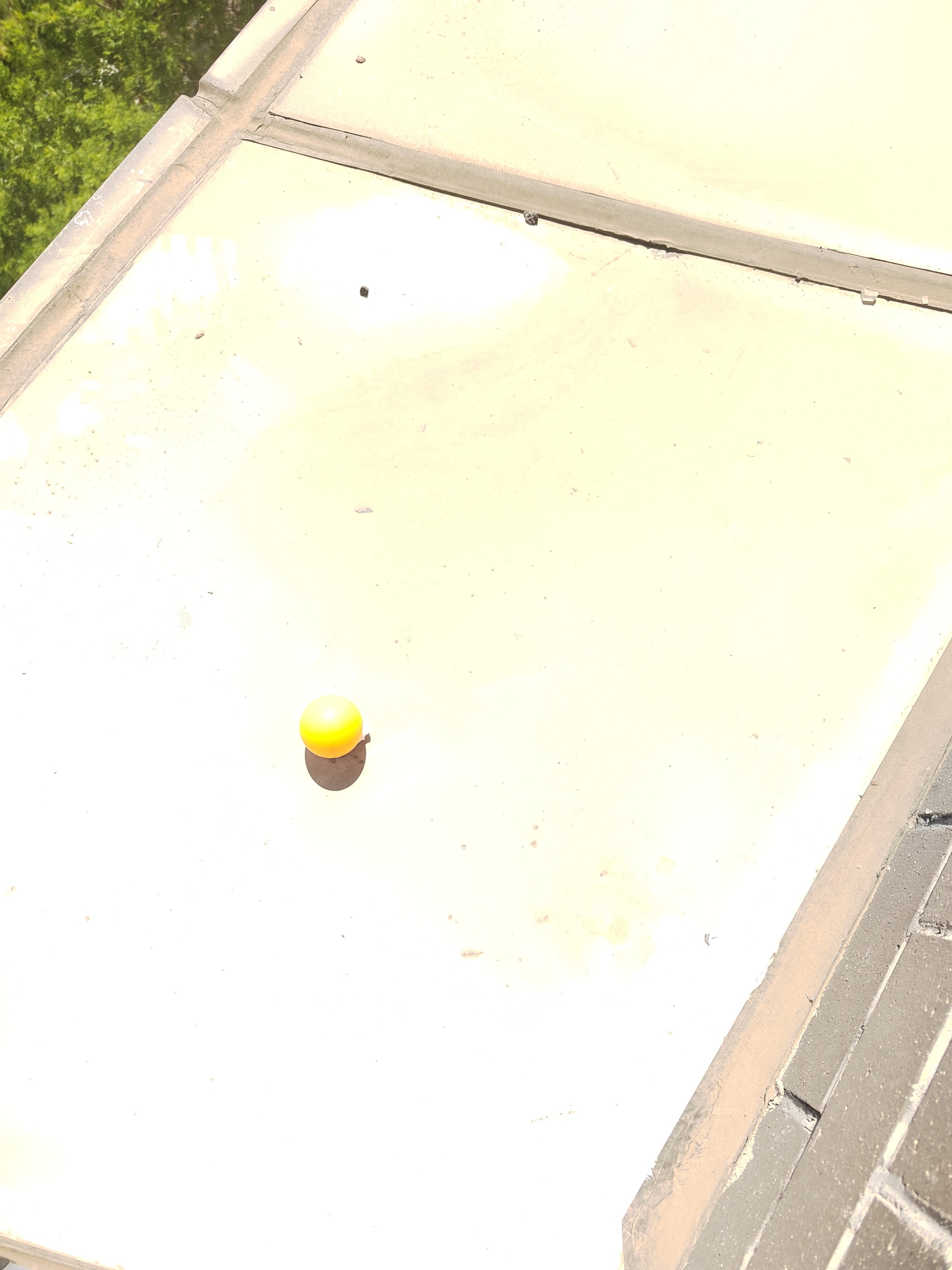 Pingpang Pingpang Y9gcl Roboflow Universe